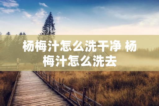 杨梅汁怎么洗干净 杨梅汁怎么洗去 杨梅汁怎么洗干净 杨梅汁怎么洗去