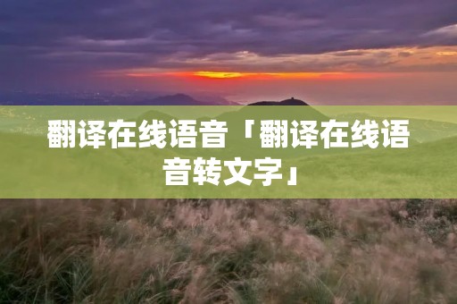 翻译在线语音「翻译在线语音转文字」