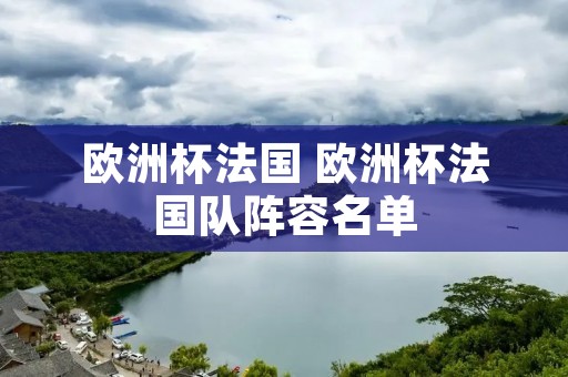 欧洲杯法国 欧洲杯法国队阵容名单