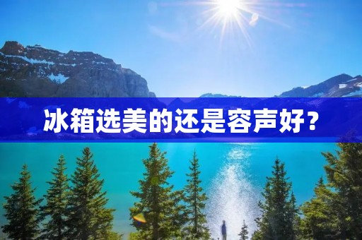 冰箱选美的还是容声好? 冰箱选美的还是容声好?
