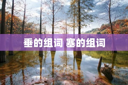 垂的组词 塞的组词
