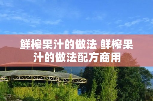 鲜榨果汁的做法 鲜榨果汁的做法配方商用