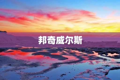 邦奇威尔斯：一位影响深远的政治家