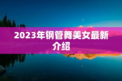 2023年钢管舞美女最新介绍