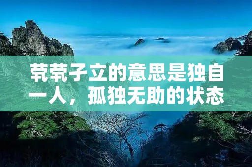 茕茕孑立的意思是独自一人，孤独无助的状态。这个词语源于《诗经·小雅·车攻》中的一句诗句：“茕茕孑立，形影相吊”，形容一个人孤独地站在那里，只有自己的影子陪伴。