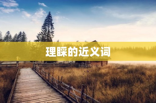 理睬的近义词：关注、关心、留意