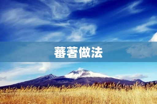 蕃著做法：如何制作美味的蕃著