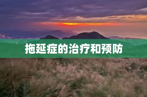拖延症的治疗和预防 拖延症的治疗和预防