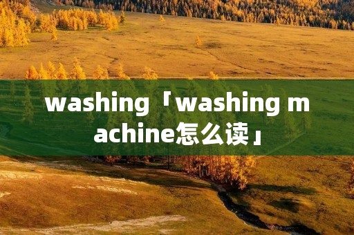 washing「washing machine怎么读」
