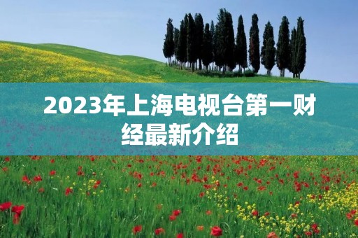 2023年上海电视台第一财经最新介绍