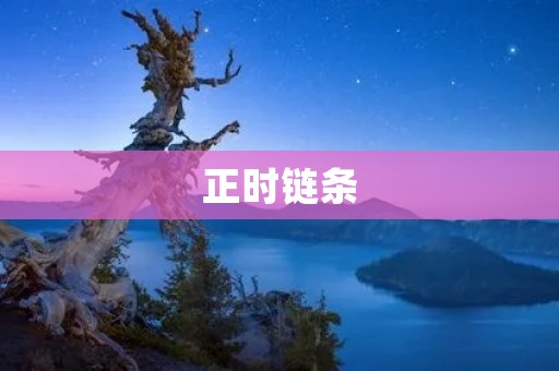 正时链条:汽车发动机中的重要组成部分 正时链条:汽车发动机中的重要组成部分