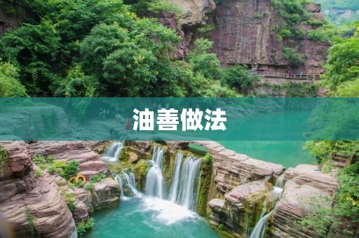 油善做法:让你的厨房更加健康 油善做法:让你的厨房更加健康