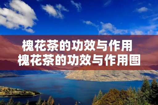槐花茶的功效与作用 槐花茶的功效与作用图