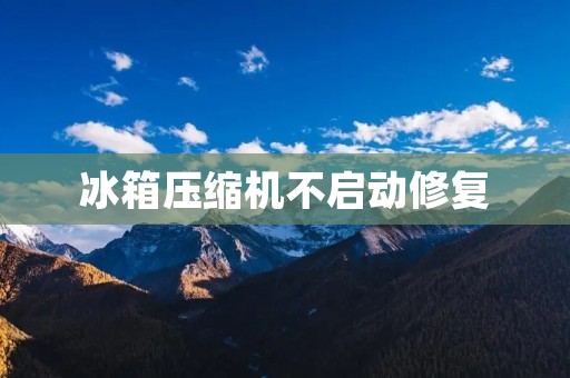 冰箱压缩机不启动修复:解决冰箱无法制冷的问题 冰箱压缩机不启动修复:解决冰箱无法制冷的问题