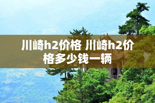 川崎h2价格 川崎h2价格多少钱一辆