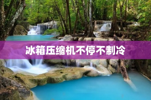 冰箱压缩机不停不制冷:原因和解决方法 冰箱压缩机不停不制冷:原因和解决方法