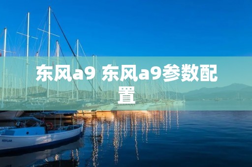 东风a9 东风a9参数配置 东风a9 东风a9参数配置