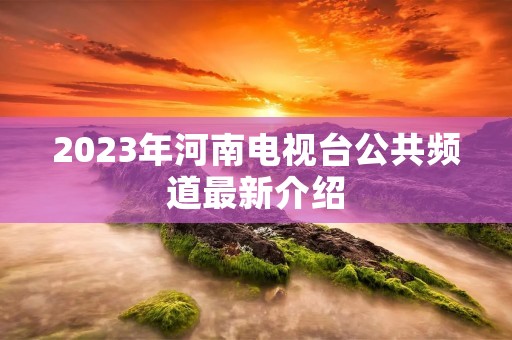 2023年河南电视台公共频道最新介绍 2023年河南电视台公共频道最新介绍