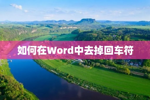 如何在Word中去掉回车符