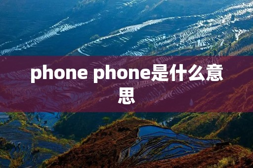 phone phone是什么意思
