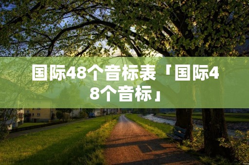 国际48个音标表「国际48个音标」