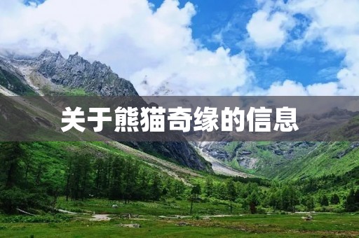 关于熊猫奇缘的信息
