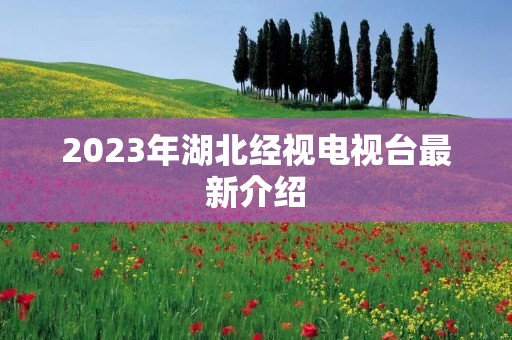 2023年湖北经视电视台最新介绍