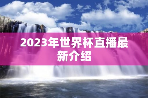2023年世界杯直播最新介绍