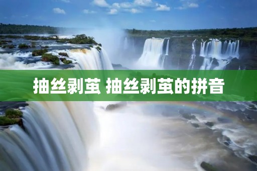抽丝剥茧 抽丝剥茧的拼音 抽丝剥茧 抽丝剥茧的拼音