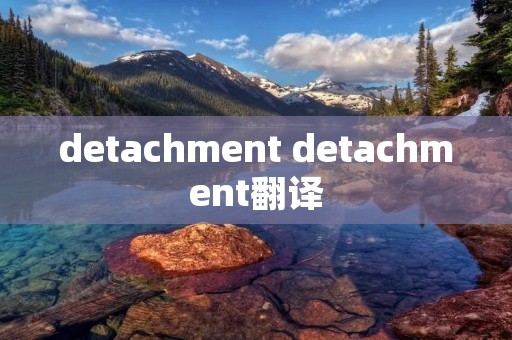 detachment detachment翻译
