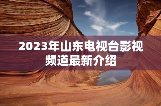 2023年山东电视台影视频道最新介绍