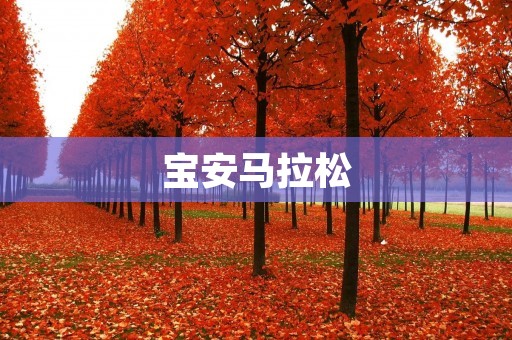 宝安马拉松:跑进城市,跑进生活 宝安马拉松:跑进城市,跑进生活