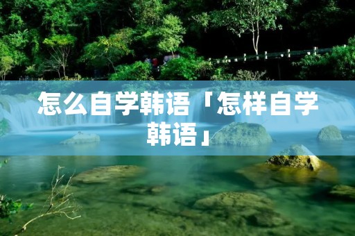 怎么自学韩语「怎样自学韩语」