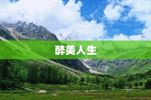 醉美人生:探究酒文化的深度与广度 醉美人生:探究酒文化的深度与广度