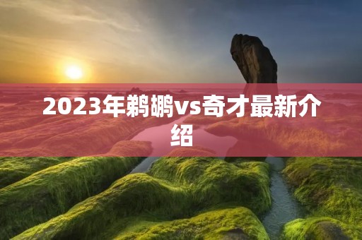 2023年鹈鹕vs奇才最新介绍 2023年鹈鹕vs奇才最新介绍