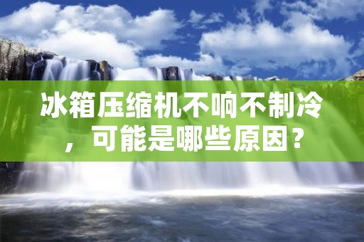 冰箱压缩机不响不制冷,可能是哪些原因? 冰箱压缩机不响不制冷,可能是哪些原因?