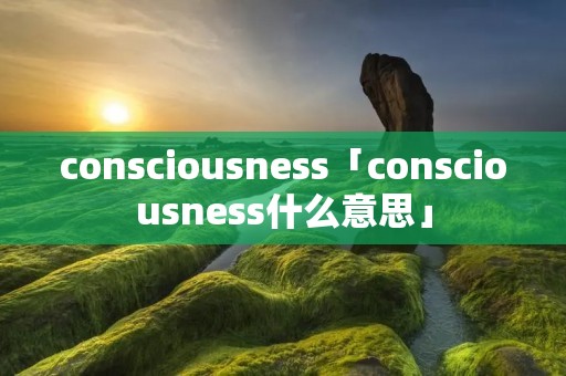 consciousness「consciousness什么意思」 consciousness「consciousness什么意思」