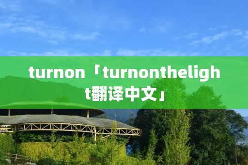 turnon「turnonthelight翻译中文」