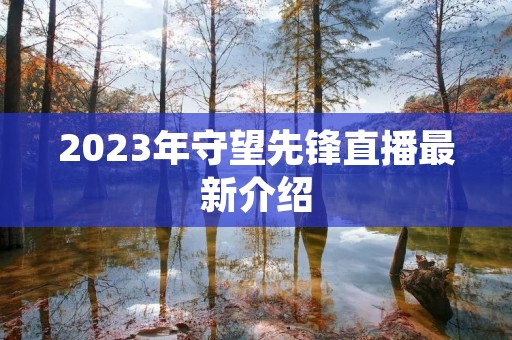 2023年守望先锋直播最新介绍 2023年守望先锋直播最新介绍