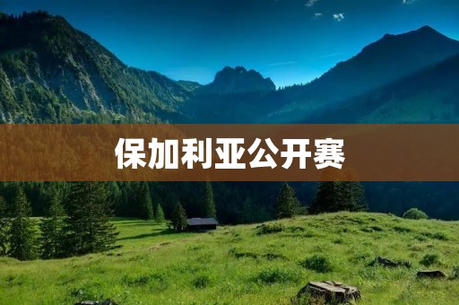 保加利亚公开赛：中国选手出战取得佳绩！