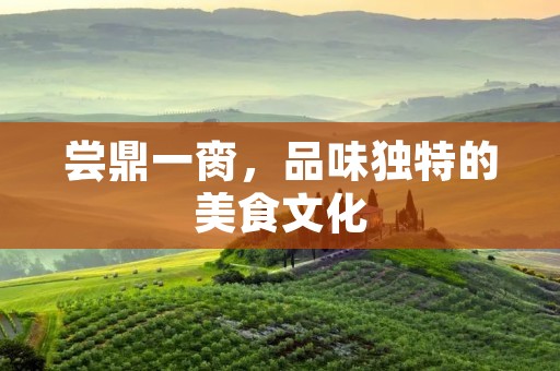 尝鼎一脔，品味独特的美食文化