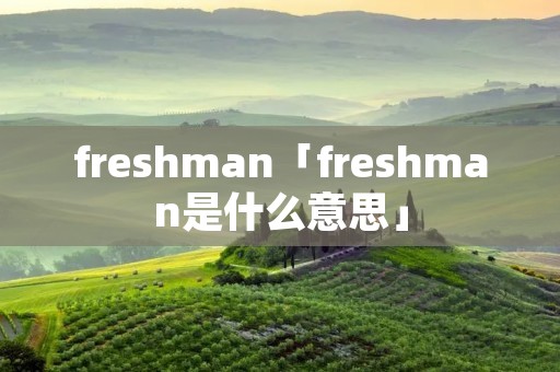 freshman「freshman是什么意思」