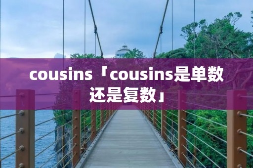 cousins「cousins是单数还是复数」