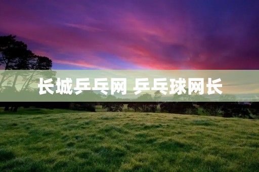 长城乒乓网 乒乓球网长