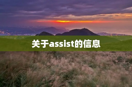 关于assist的信息 关于assist的信息