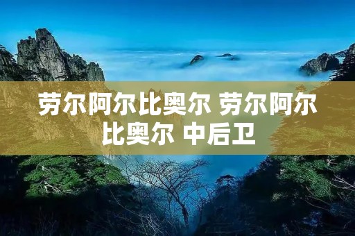 劳尔阿尔比奥尔 劳尔阿尔比奥尔 中后卫 劳尔阿尔比奥尔 劳尔阿尔比奥尔 中后卫