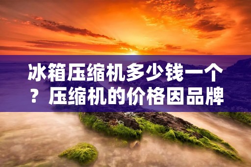 冰箱压缩机多少钱一个?压缩机的价格因品牌、型号、功率等因素而异。一般来说,品牌知名度越高,价格也越高。同一品牌不同型号的压缩机,功率越大价格也越高。下面我们来详细了解一下冰箱压缩机的价格。 冰箱压缩机多少钱一个?压缩机的价格因品牌、型号、功率等因素而异。一般来说,品牌知名度越高,价格也越高。同一品牌不同型号的压缩机,功率越大价格也越高。下面我们来详细了解一下冰箱压缩机的价格。