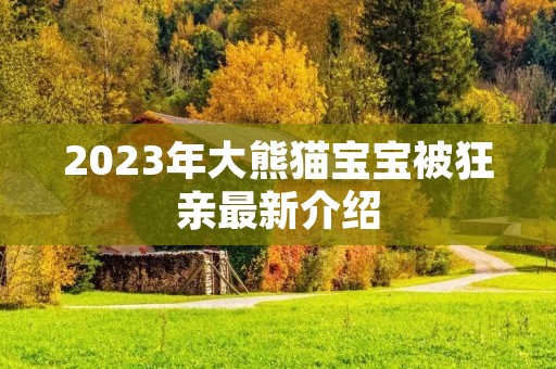 2023年大熊猫宝宝被狂亲最新介绍