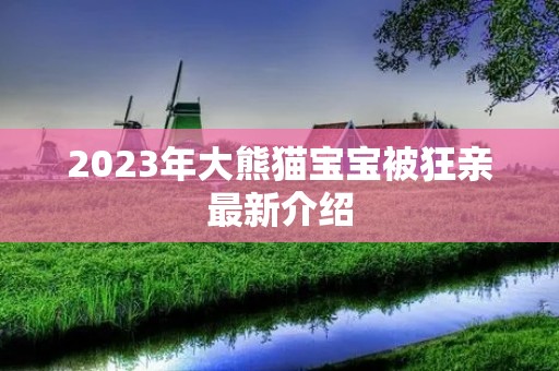 2023年大熊猫宝宝被狂亲最新介绍