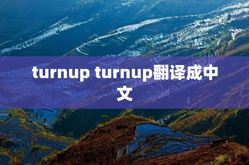 turnup turnup翻译成中文